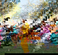 Griffith Spring Fest -  Multicultural Festival