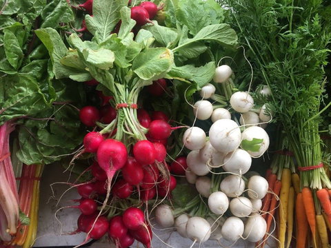 Joondalup Growers Market - Accommodation Ballina 1