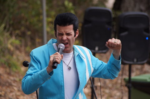 Karragarra Sea Market Festival - Accommodation Ballina 2