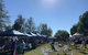Made 'n Grown Produce And Artisan Market - thumb 2