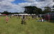 Majors Creek Festival - thumb 0