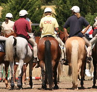 Michelago Pony Club Gymkhana and Sporting Spectacular - Accommodation Ballina