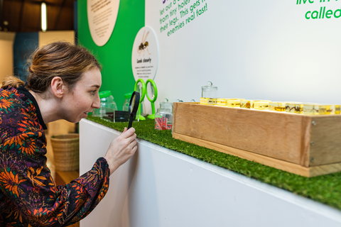 Minibeasts - Accommodation Ballina 0