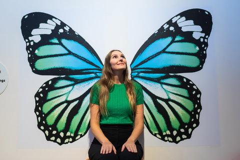 Minibeasts - Accommodation Ballina 1