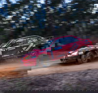 Narooma Forest Rally - Accommodation Ballina