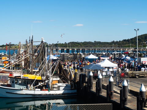 Ocean Harvest Festival - Accommodation Ballina 0
