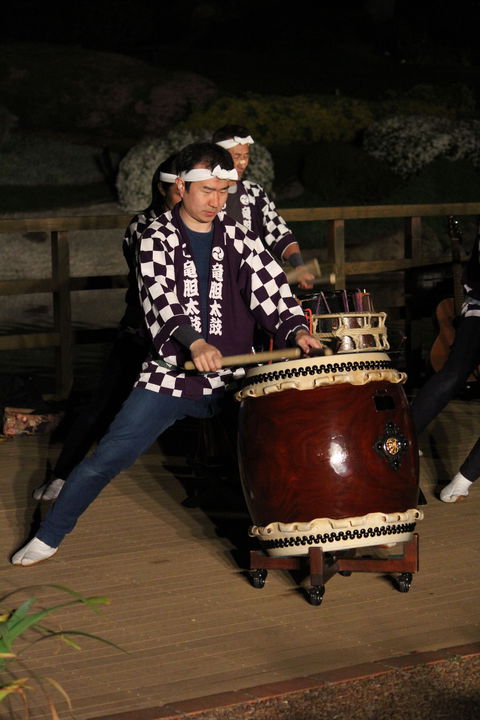 Sakura Matsuri  - Cherry Blossom Festival - In Doubt Due To Covid-19 - Accommodation Ballina 1