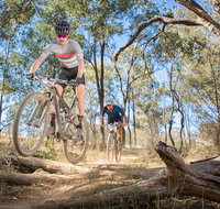Shimano Mountain Bike Grand Prix  Logan - Accommodation Ballina