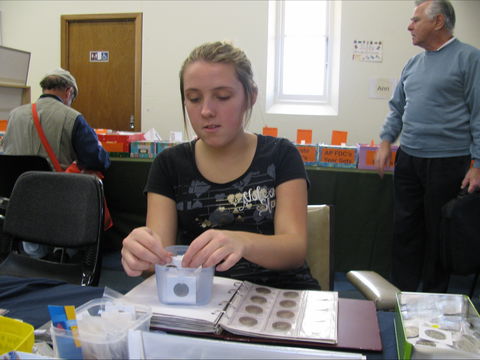 Stamp, Coin And Collectables Fair: September - Accommodation Ballina 1