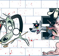 The Pink Floyd Experience