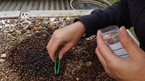 The Minerama Fossicking, Gem And Jewellery Show - Accommodation Ballina 1