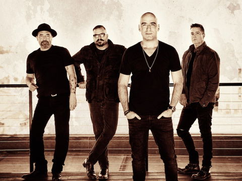 Under The Southern Stars - Gosford - Accommodation Ballina 0