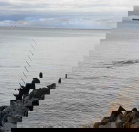 Whale Watching in Portland - Accommodation Ballina