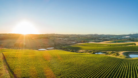 Wine And Food At Altitude - Accommodation Ballina 0