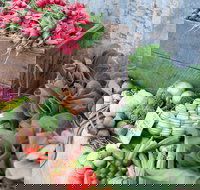 Ma Ma Creek Markets - Accommodation Ballina