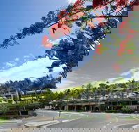 Coconut Grove - Accommodation Ballina