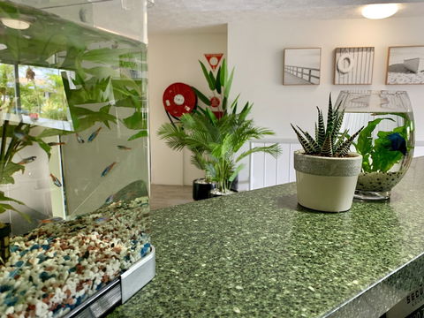 Outrigger Burleigh - Accommodation Ballina 6