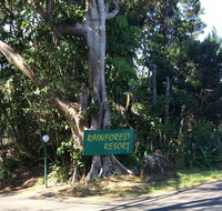 Byron Bay Rainforest Resort
