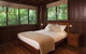 Rose Gums Wilderness Retreat - thumb 5