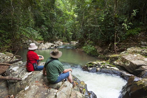 Rose Gums Wilderness Retreat - Accommodation Ballina 1