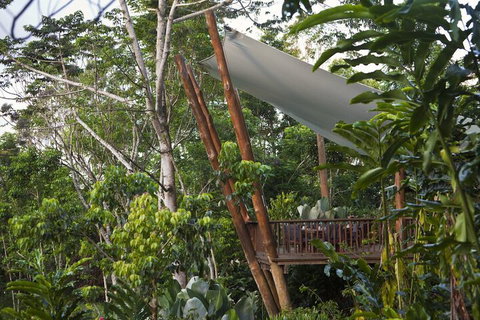 Rose Gums Wilderness Retreat - Accommodation Ballina 2