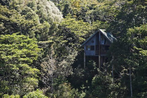 Rose Gums Wilderness Retreat - Accommodation Ballina 0