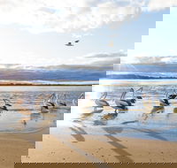 El Paso Motor Inn - Accommodation Ballina