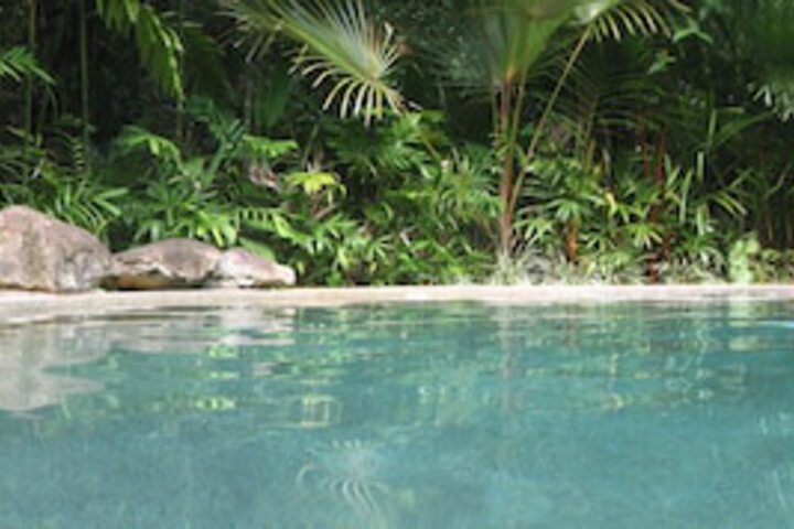 Cow Bay QLD Accommodation Ballina
