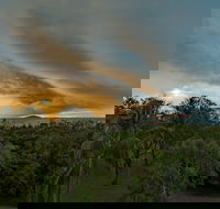 Ocean International - Accommodation Ballina