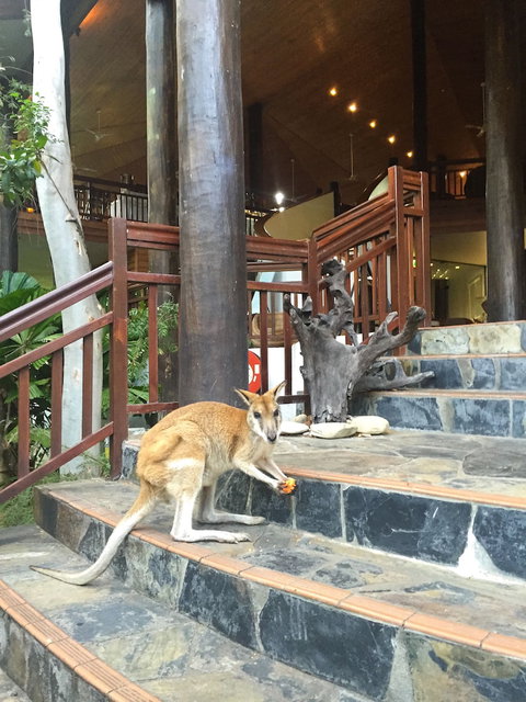 Thala Beach Nature Reserve - Accommodation Ballina 2