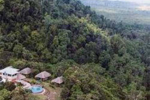 Cockatoo Hill Retreat - Accommodation Ballina 6
