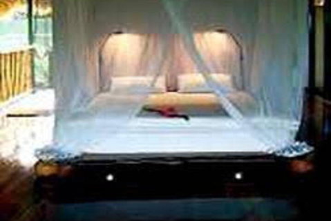 Cockatoo Hill Retreat - Accommodation Ballina 0