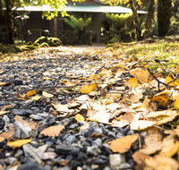 Cradle Forest Inn - Accommodation Ballina