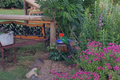 Birdhouse Cottage B & B - Accommodation Ballina 3