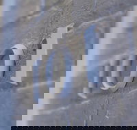 Perry Street Hotel - Accommodation Ballina