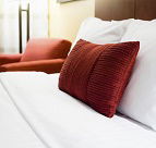 Chillout Noosa - Accommodation Ballina