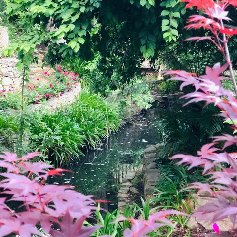 Aldgate Creek Cottage Bed & Breakfast - Accommodation Ballina 7