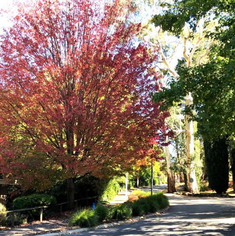 Aldgate Creek Cottage Bed & Breakfast - Accommodation Ballina 2