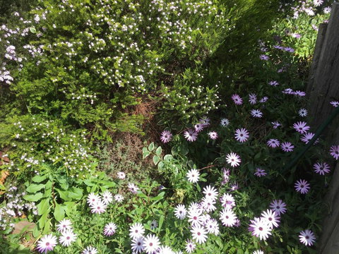 Nest On A Crest - Accommodation Ballina 4