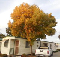 Wodonga Caravan  Cabin Park - Accommodation Ballina