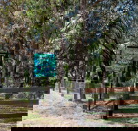 Blueberry Hills On Comleroy - Accommodation Ballina