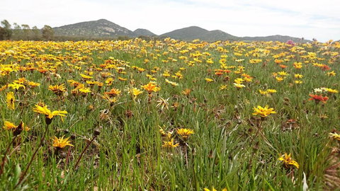 You Yangs Bed & Breakfast - Accommodation Ballina 5