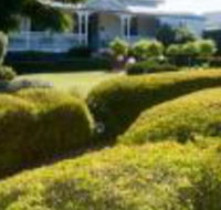 Whiskey Gully Wines - Accommodation Ballina