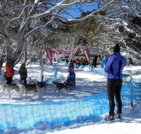 Cloud 9 Alpine Lodge - Accommodation Ballina