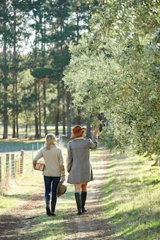 Olio Bello Lakeside Glamping - Accommodation Ballina 5