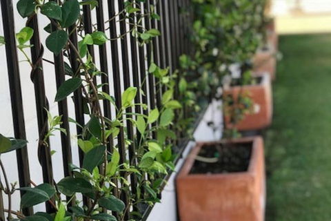 Takalvan Motel - Accommodation Ballina 1