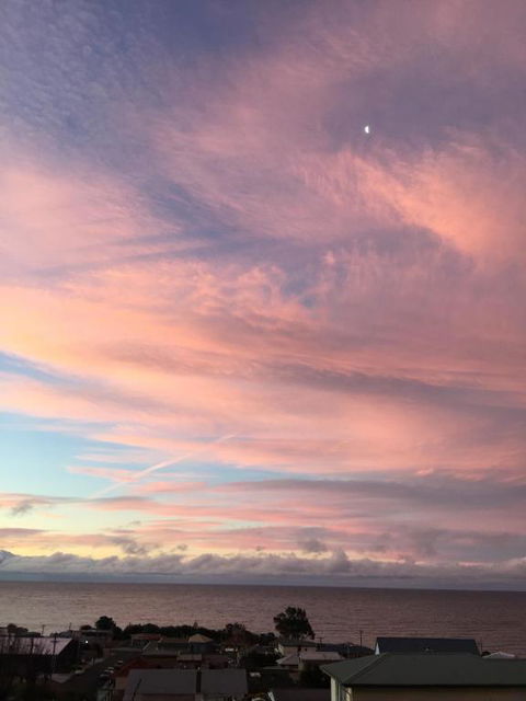 Penguin Seaside Homestay - Accommodation Ballina 5