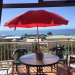 Penguin Seaside Homestay - Accommodation Ballina 0