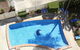 Oceania Beachside Holiday Apartments - thumb 1