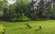 Eden Rest - thumb 1